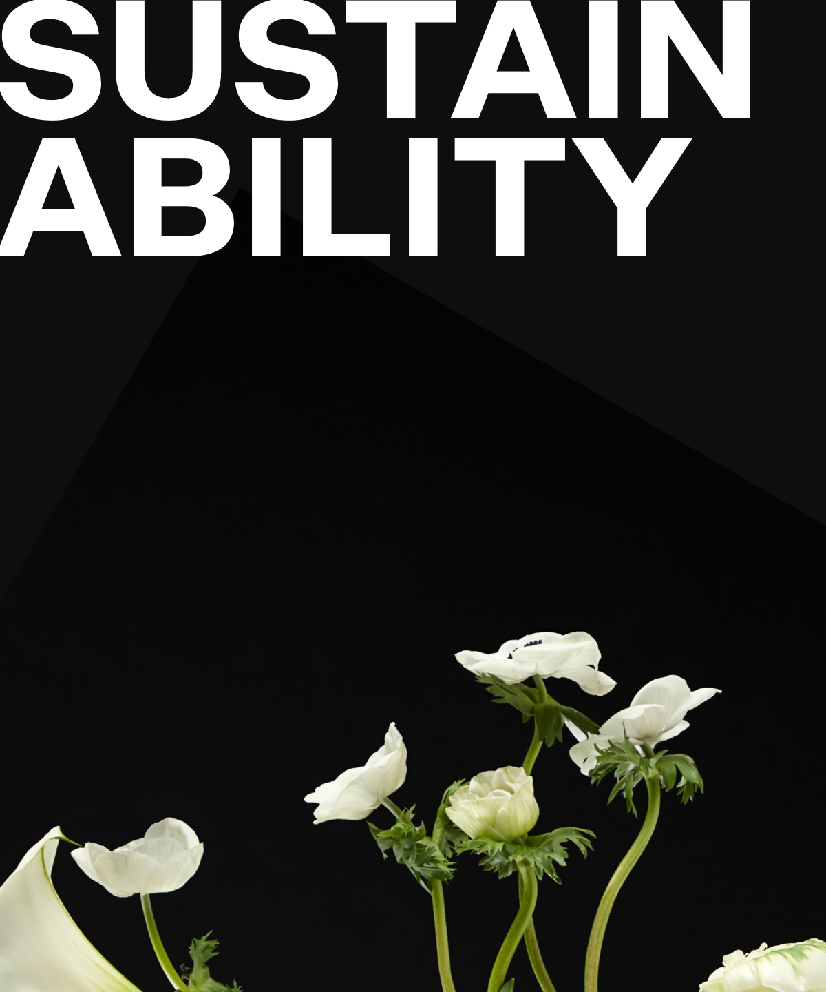 Sustainability