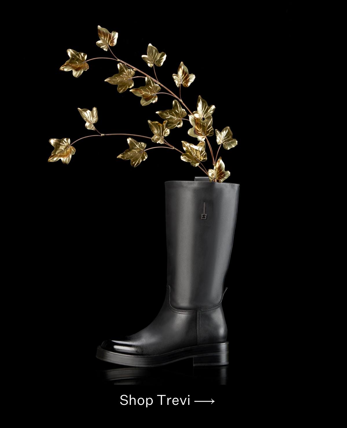 Franco sarto brandy boot shop