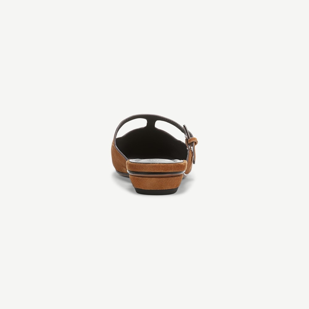 Sarto Dorthea Mule - Back