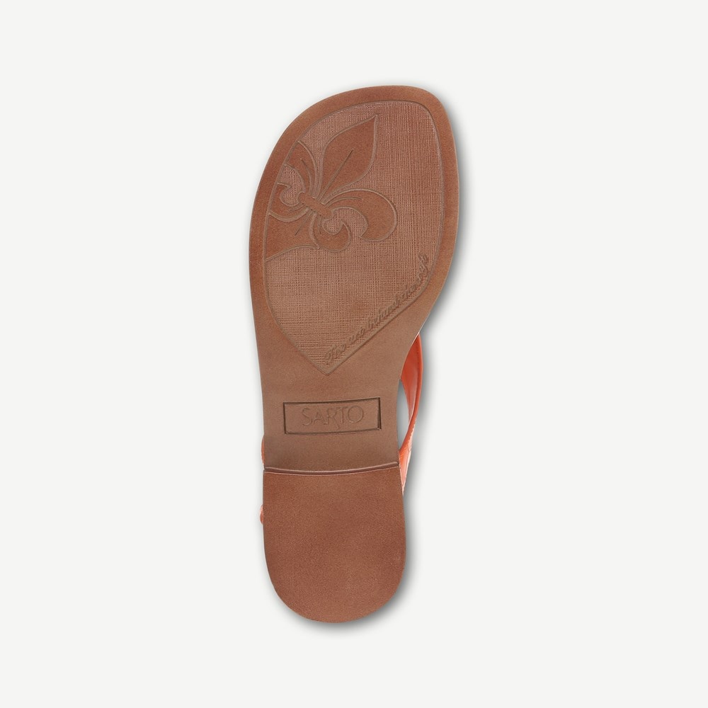Sarto Iris Thong Sandal Womens Sandals Franco Sarto