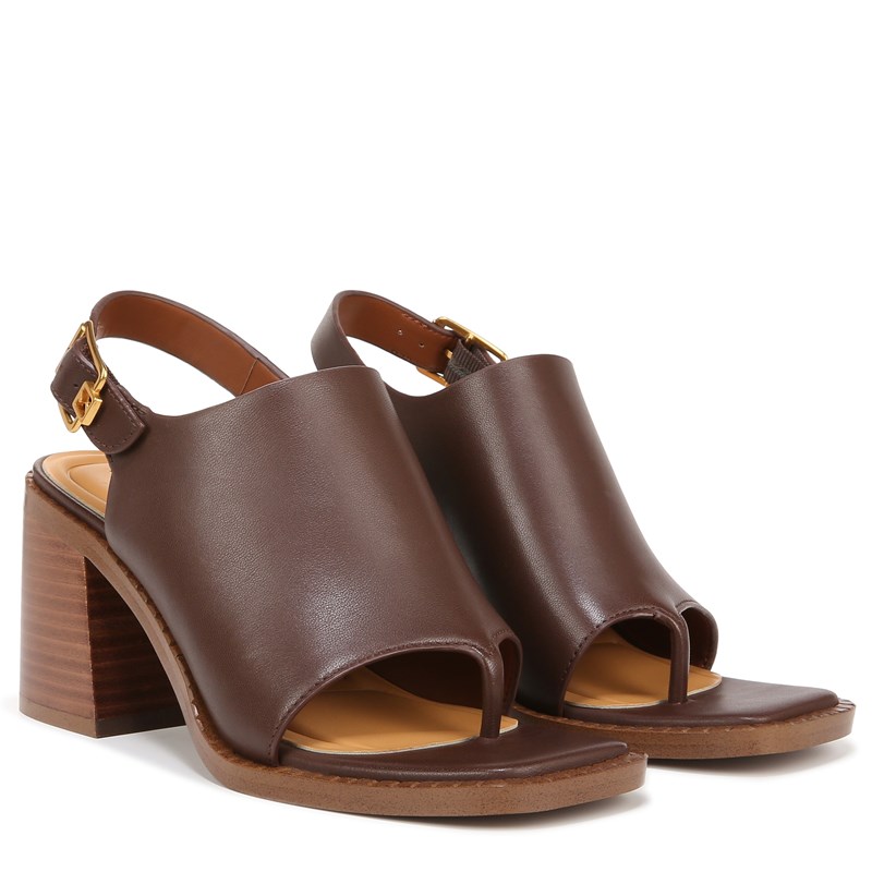 Sarto By Franco Sarto Shoes Sarto Atlas Block Heel Sandal (Chocolate Brown Leather) 8.0 M Square Toe, Slingback, Buckle Closure
