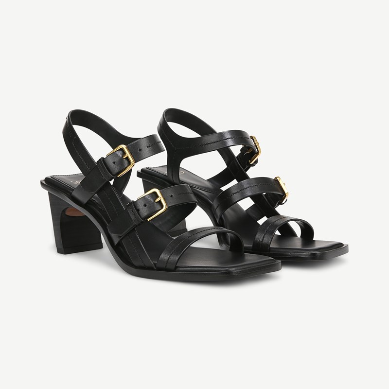 Sarto By Franco Sarto Shoes Sarto Frances Sandal (Black Leather) 7.5 M Square Toe, Buckle Closure