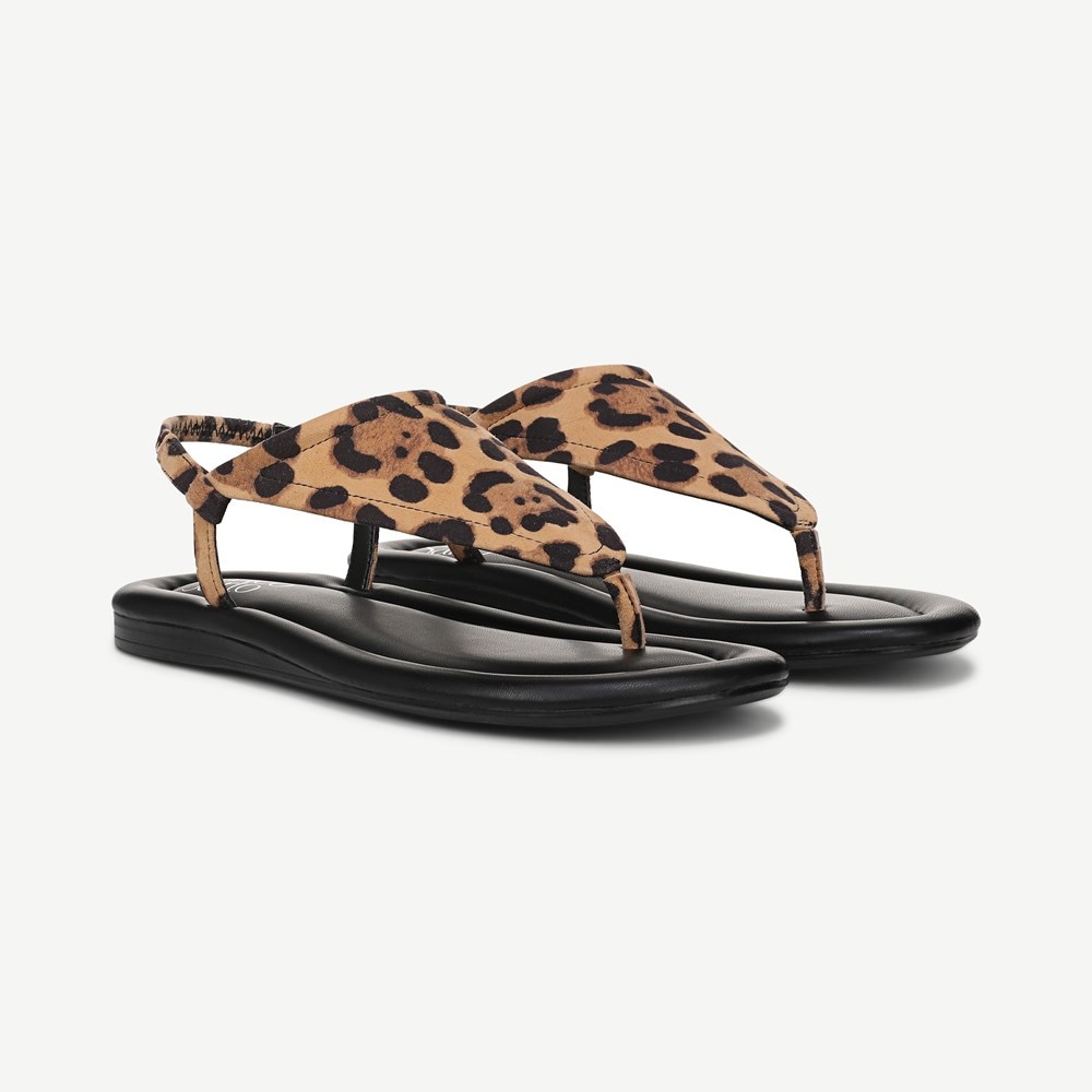Franco Jocelyn Slingback - Pair