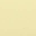 Citron Yellow Leather
