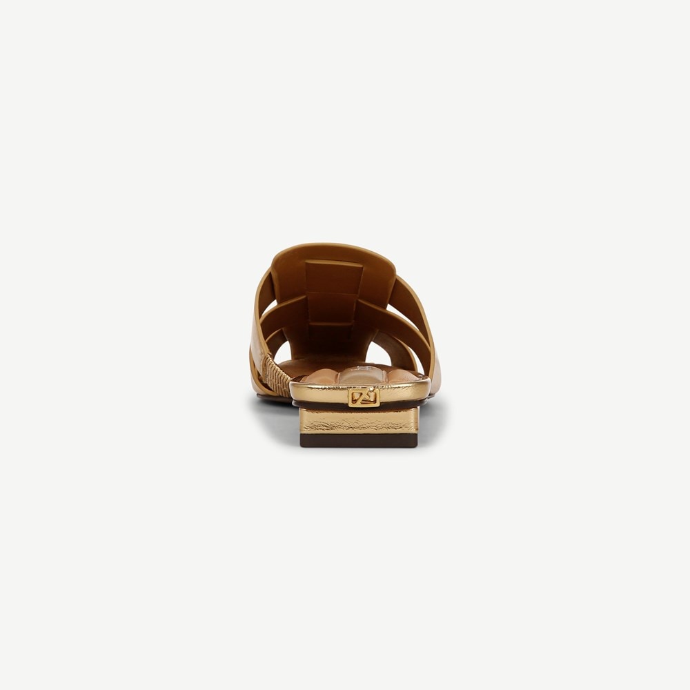 Franco Tavana Mule - Back