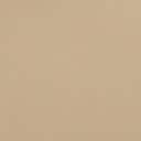 Beige Patent Faux Leather