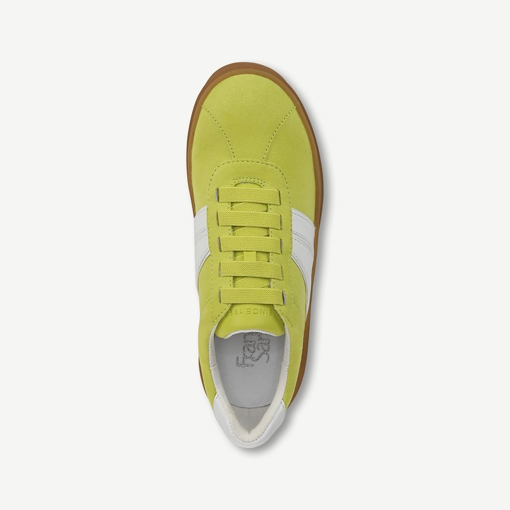 Franco Vinto Sneaker - Top