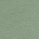 Aloe Green Leather